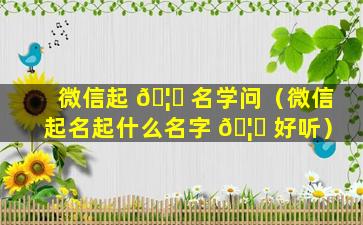 微信起 🦅 名学问（微信起名起什么名字 🦋 好听）